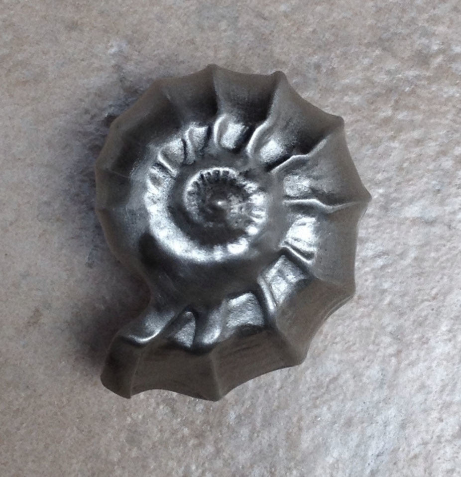 Nautilus Shell Knob, Oil Rub Bronze
