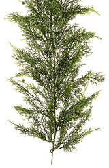 75" Artificial Cedar Garland. , 75"