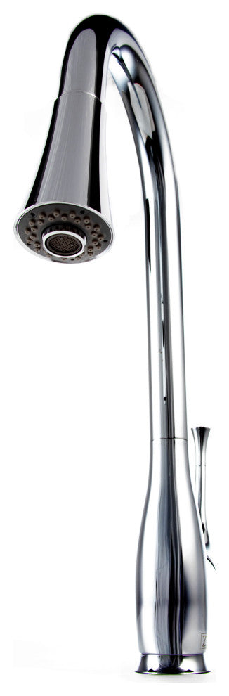 ZLINE Castor Kitchen Faucet in Chrome (CAS-KF-CH)