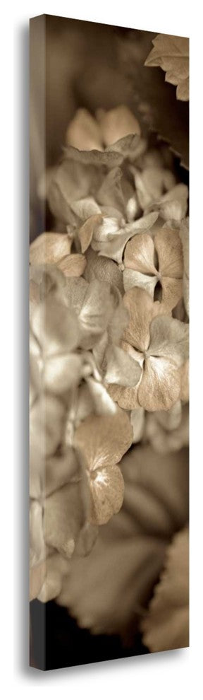 "Florison - 90" By Alan Blaustein, Giclee Print on Gallery Wrap Canvas