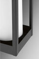 Patewood Collection 1-Light Medium Wall Lantern, Black