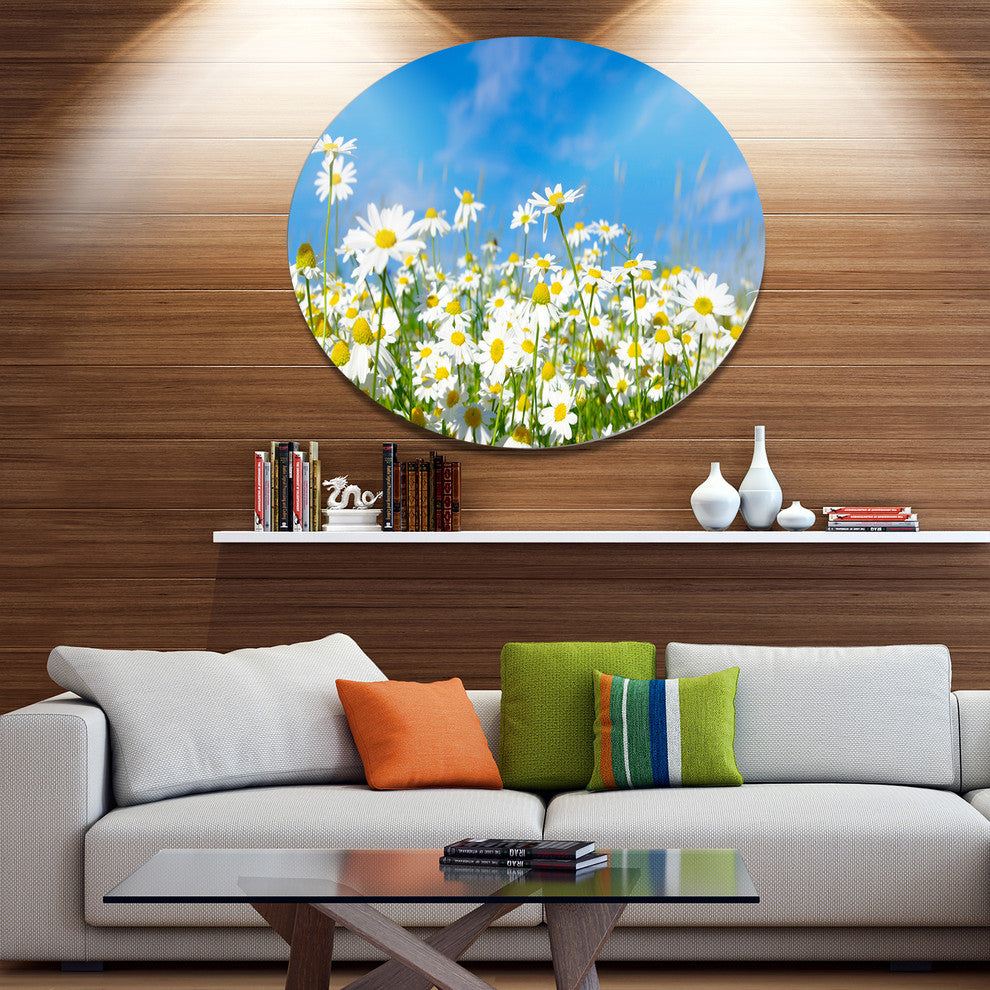 White Daisies Under Bright Blue Sky, Floral Round Wall Art, 11"