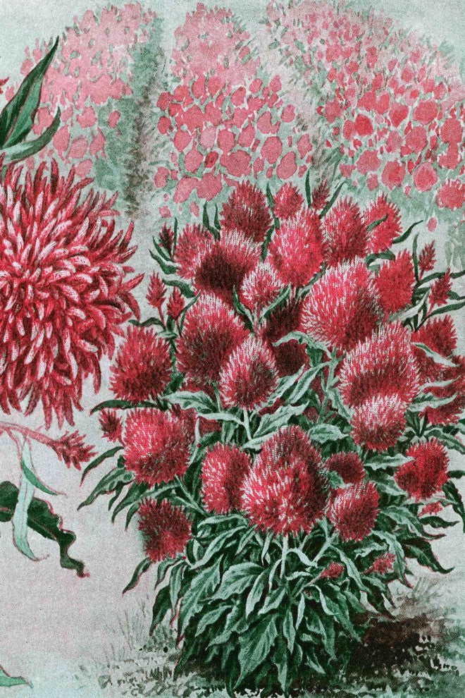 "Wool Flowers 2" Painting Print on Canvas