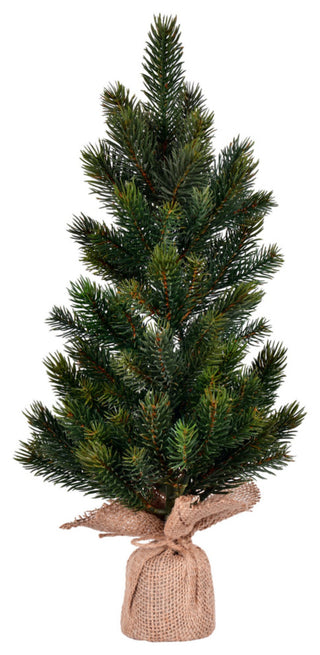 19" Balsam Fir Sapling Tree Burlap Base