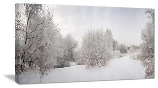 "Frosted Trees" Landscape Canvas Print, 40"x20"