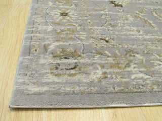 Gray Distressed Bohemian Isabella Rug, 5' 3 X 7' 3