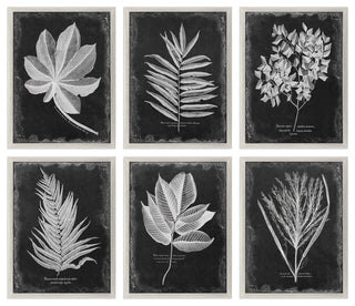 Foliage Framed Prints, 6-Piece Set