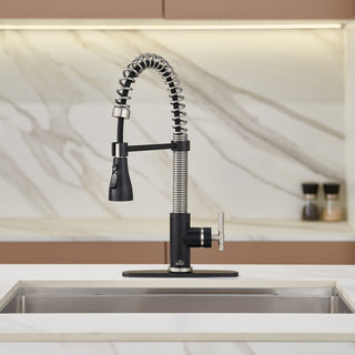 Single Handle Kitchen Sink Faucet Pull-Down Sprayer, 360 Swivel, 3 Functions, Matte Black+brushed Nickel