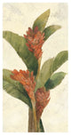 "Ginger Blossom on White" Digital Paper Print by Albena Hristova, 38"x74"