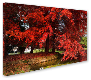 'October' Canvas Art by Philippe Sainte-Laudy