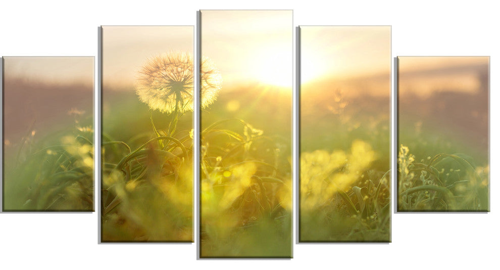 Dandelion Blooming Flower in Field, Floral Canvas Art Print, 60"x32", 5 Panels