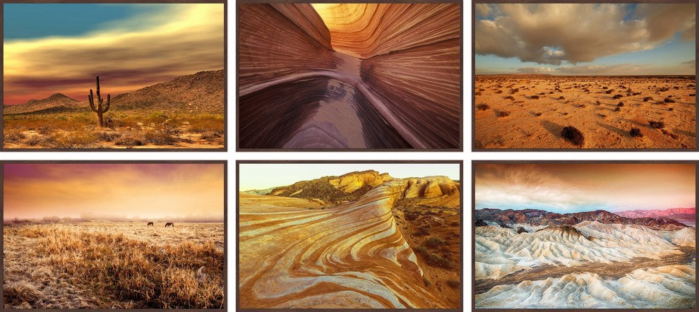 Desert Beauty Hexaptych, 54x24