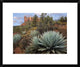 "Agave and Coffee Pot Rock near Sedona, Arizona"  by Tim Fitzharris, 24x20"