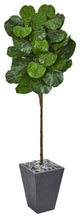 6' Fiddle Leaf Artificial Tree in Slate Finished Planter