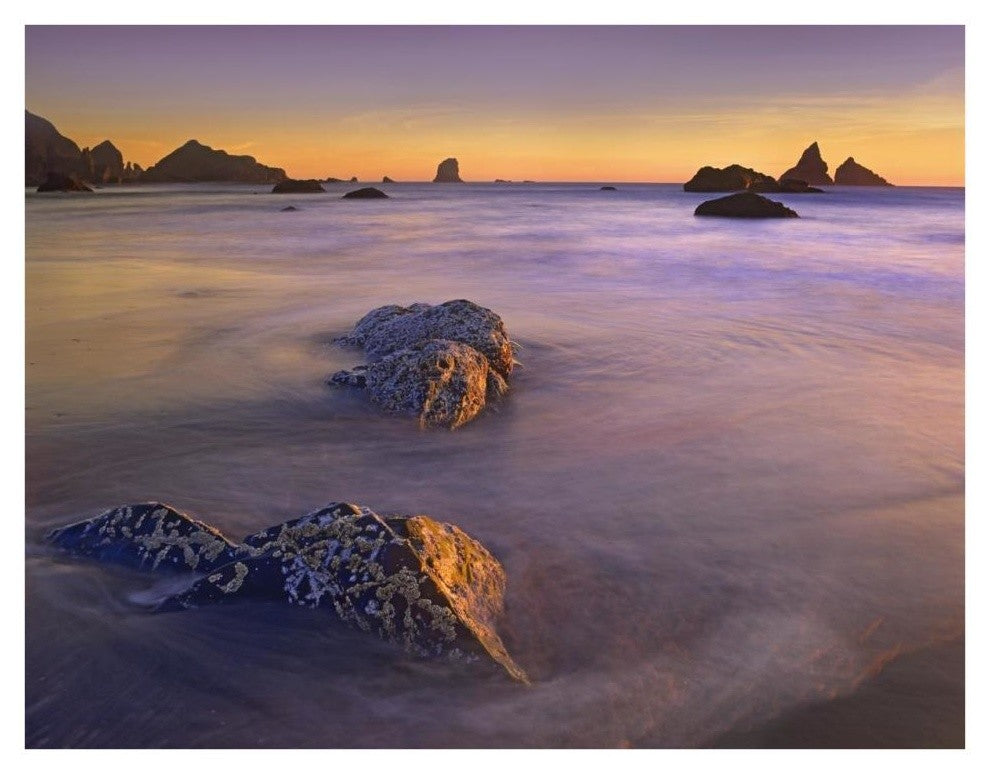 "Coastline, Lone Beach, Oregon" Digital Paper Print by Tim Fitzharris, 34"x26"