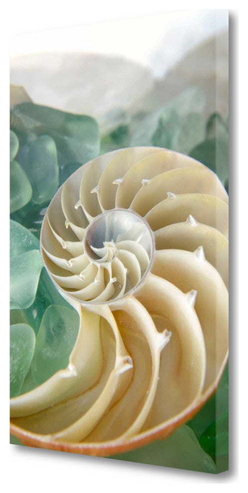 27" Seashell and Seaglass Giclee Wrap Canvas Wall Art