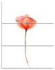 "Watercolor Large Red Poppy Flower" Metal Wall Art, 3 Panels, 28"x36"
