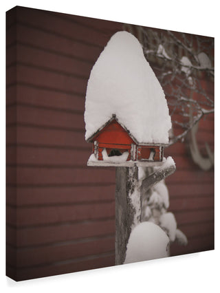 "The Weight of Time" by Christine Sainte-Laudy, Canvas Art