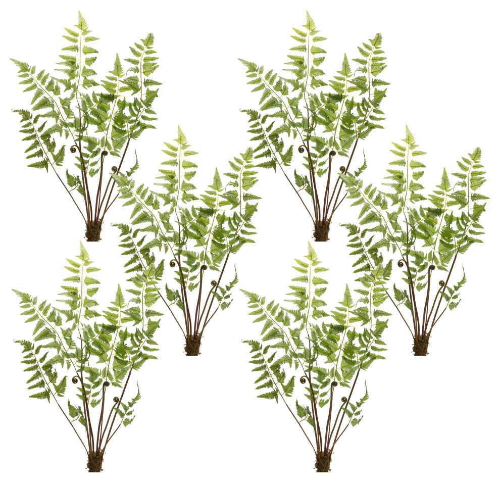 Fern Bundle, 6-Piece Set