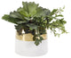 Large Ruffle Echeveria With Greenery, Cream and Gold Ceramic Planter