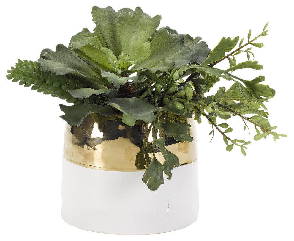 Large Ruffle Echeveria With Greenery, Cream and Gold Ceramic Planter