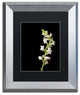PIPA Fine Art 'White Snapdragons' Matted Framed Art, 14x11