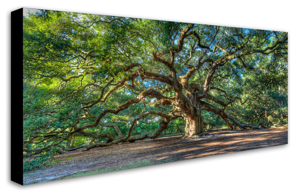 'Angel Oak, Charleston' Canvas Art by Pierre Leclerc
