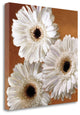 "Gerber Delight II" By Janel Pahl, Giclee Print on Gallery Wrap Canvas