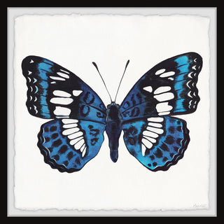 "Dazzling Wings" Framed Painting Print, 12x12