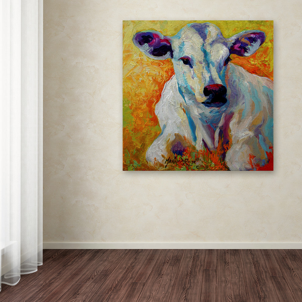 Marion Rose 'White Calf' Canvas Art, 35 x 35