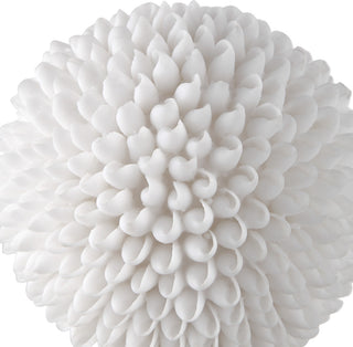 Cascara White Sculpture