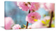 Almond Tree Pink Flowers, Large Flower Canvas Wall Art, 32"x16"