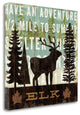"Simple Living Elk" By Michael Mullan, Giclee Print on Gallery Wrap Canvas