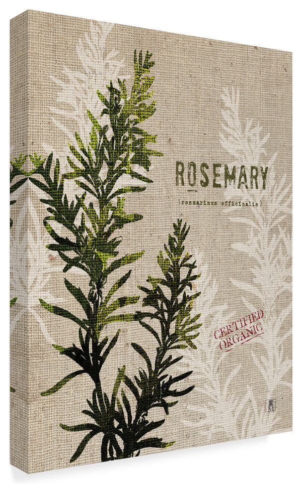 "Organic Rosemary No Butterfly" by Studio Mousseau, Canvas Art, 19"x14"
