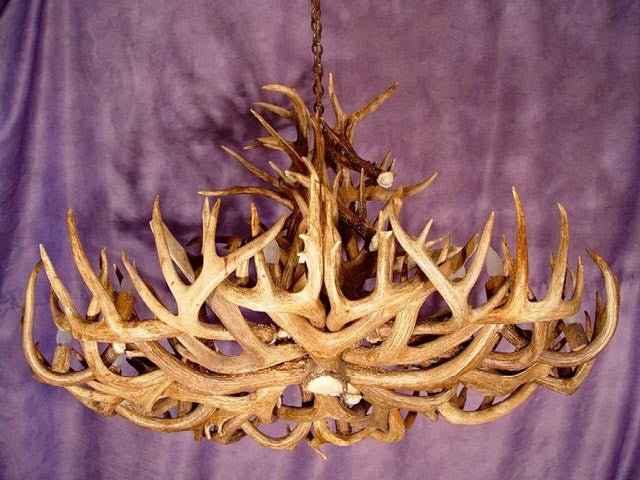 Whitetail Deer Royal Crown Oval Antler Chandelier Light, Extra Large, No Shades
