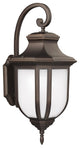 Generation Lighting Lighting Medium 1-Light Outdoor Lantern, Bronze