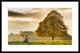 "Untitled" Framed Digital Print by Tudor Amot, 38x25"