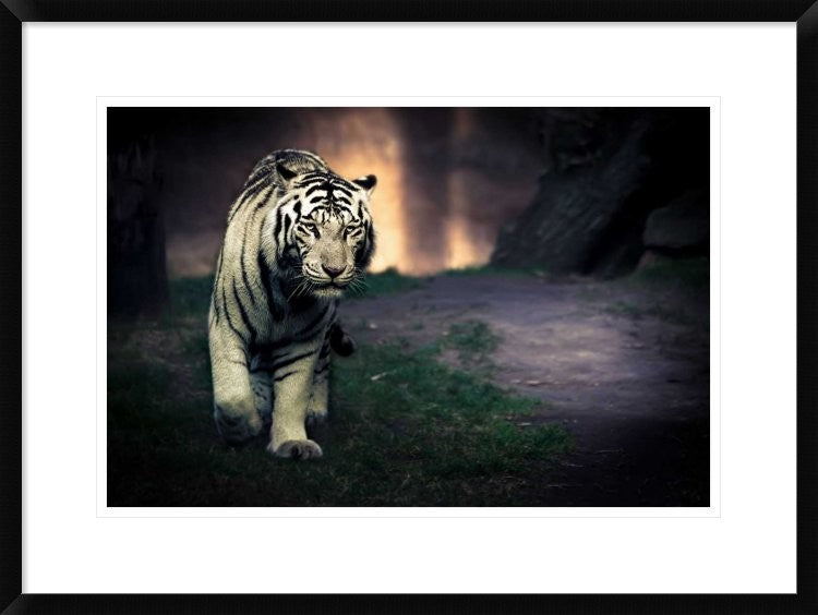 "White Walker" Framed Digital Print by Jesus Gonzalez, 30x22"