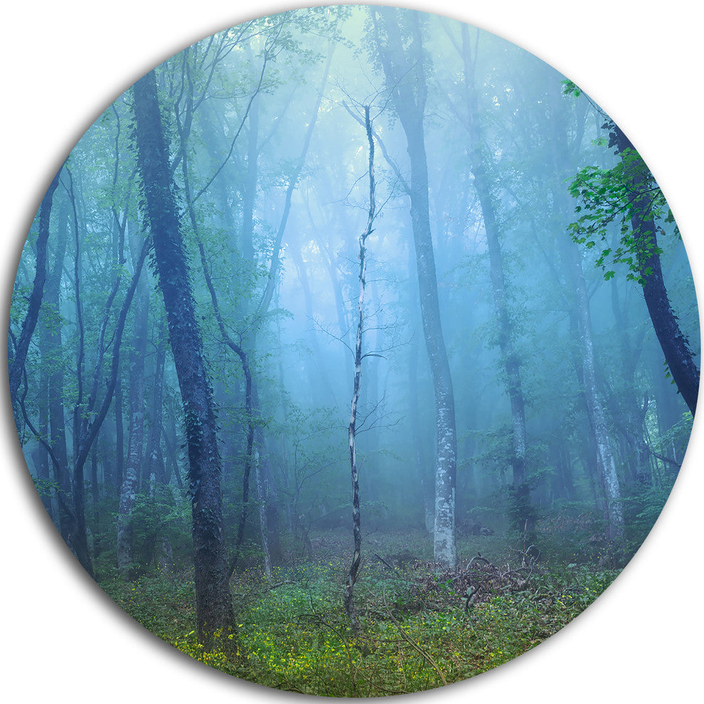 Dark Foggy Forest Trees, Landscape Photo Large Disc Metal Wall Art, 11"