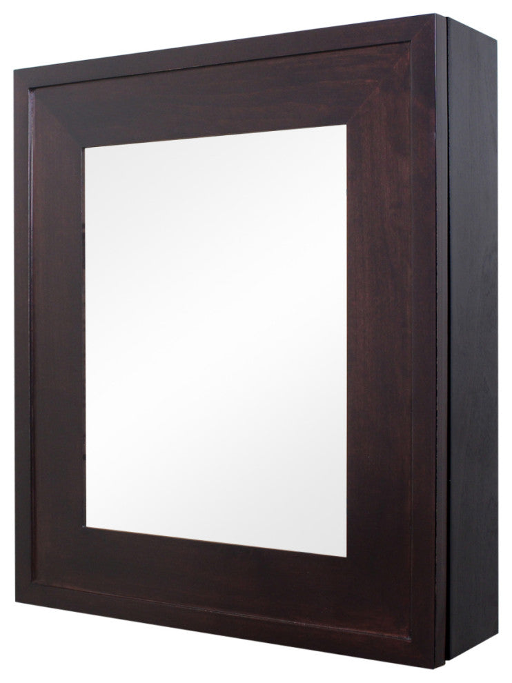 Wall Mount Mirrored Medicine Cabinet, Coffee Bean