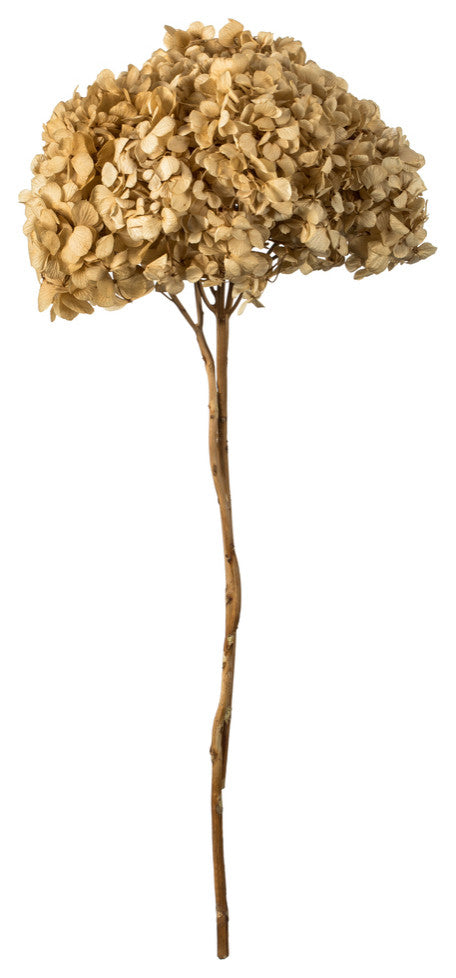 Vickerman 15" Hydrangea With Multiple Branch Segments