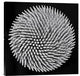 "Hypnosis" Stretched Canvas Giclee by Giorgio Toniolo, 24x24"