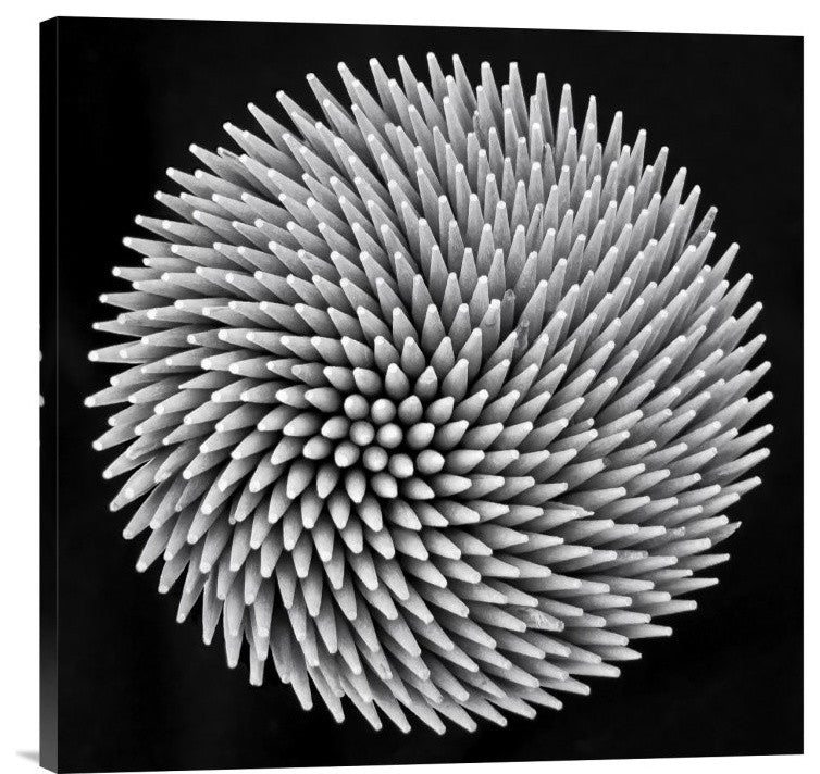"Hypnosis" Stretched Canvas Giclee by Giorgio Toniolo, 24x24"