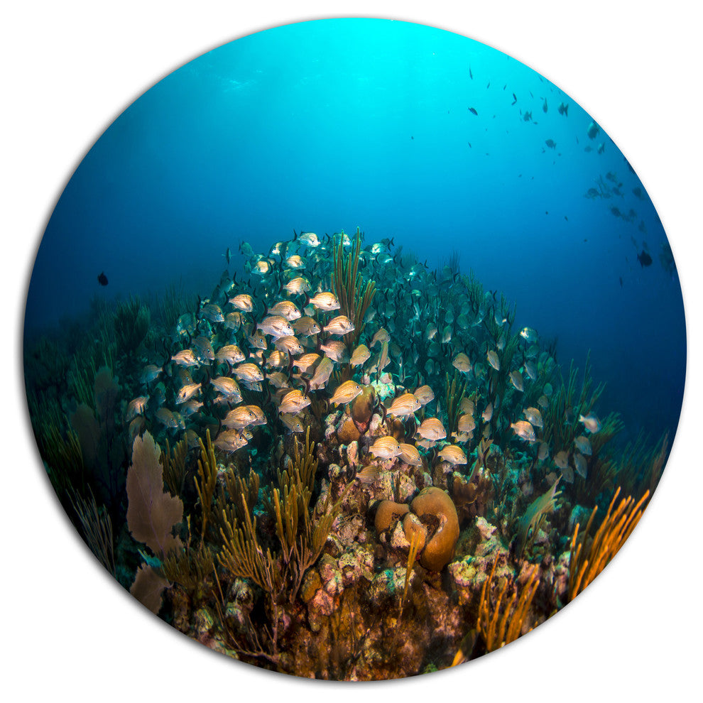 School Of Grunts Swimming In Water, Landscape Round Wall Art, 23"