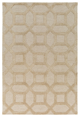 Arise Transitional Khaki Area Rug, 2'x3'