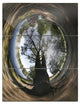 "Ufa Little Planet Panorama" Tree Photography Metal Wall Art, 3 Panels, 28"x36"