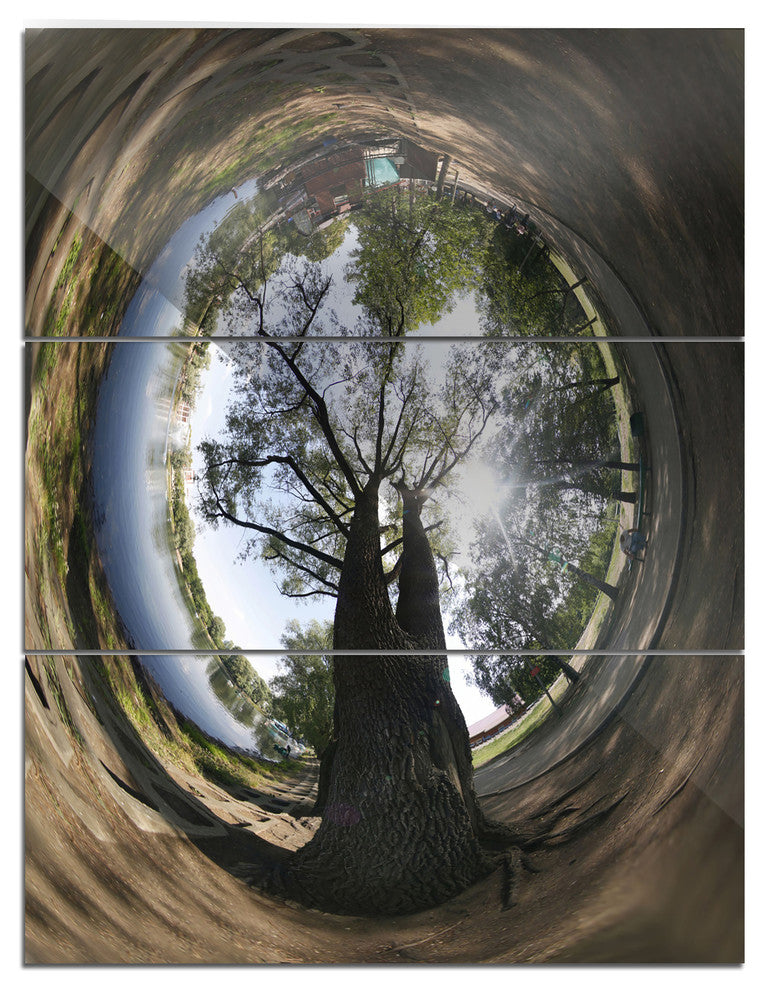 "Ufa Little Planet Panorama" Tree Photography Metal Wall Art, 3 Panels, 28"x36"