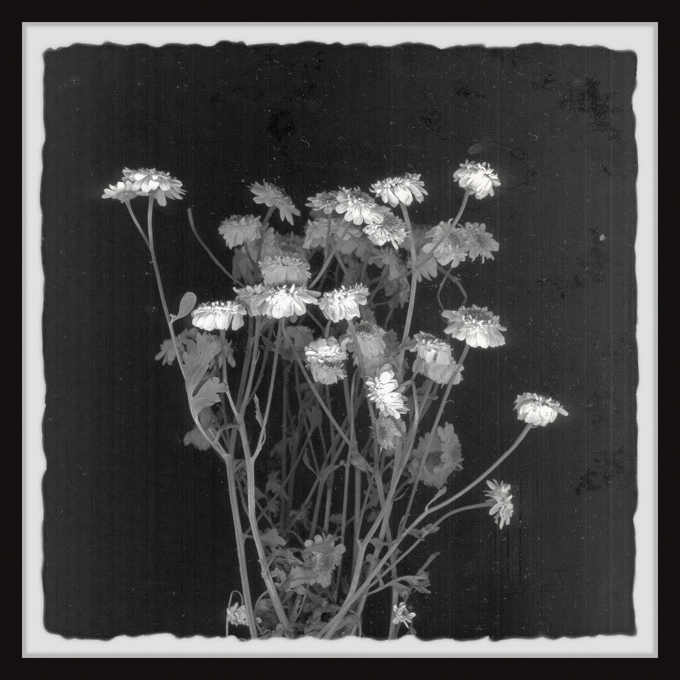 "Wild Bouquet" Framed Painting Print, 32x32