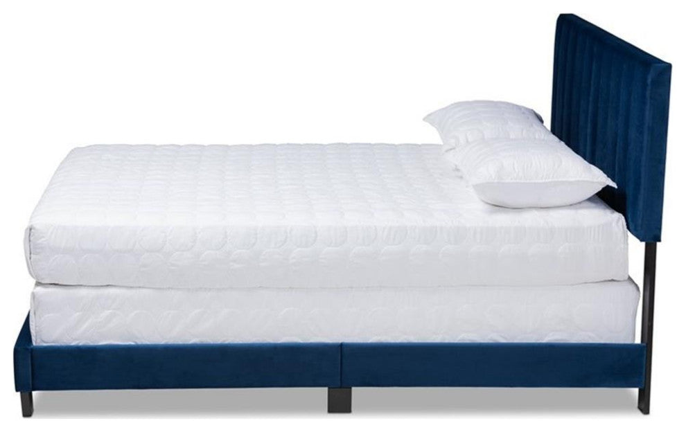Baxton Studio Clare Queen Size Navy Blue Velvet Panel Bed with Tufted Headboard