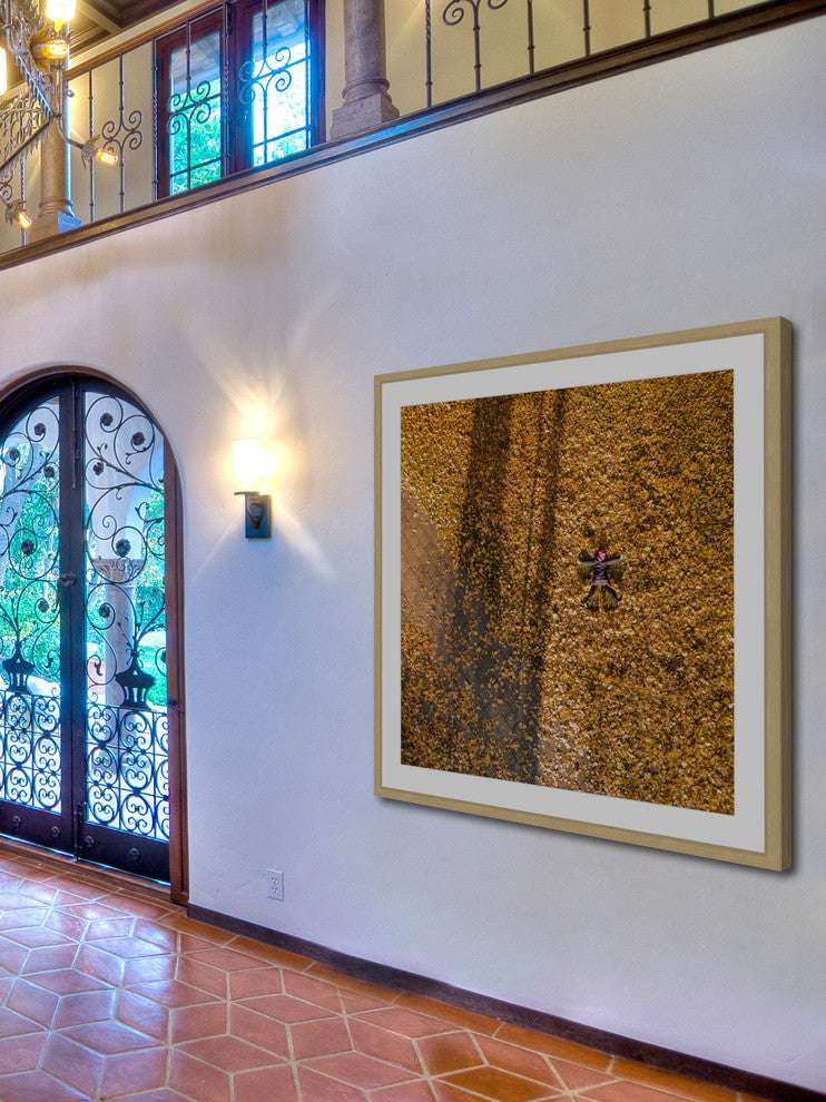 "Leaf Angel" Framed Print by Karolis Janulis